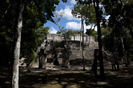 Temple XVI in Calakmul's Grand Acropolis - calakmul mayan ruins,calakmul mayan temple,mayan temple pictures,mayan ruins photos
